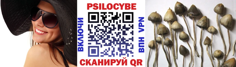 Галлюциногенные грибы ЛСД  Юрга 